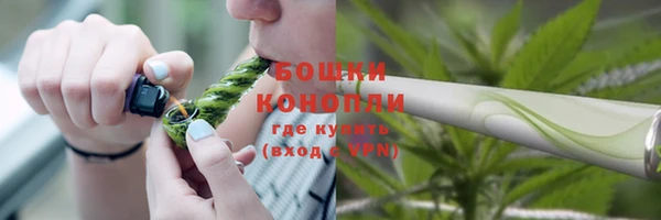 дмт Новозыбков