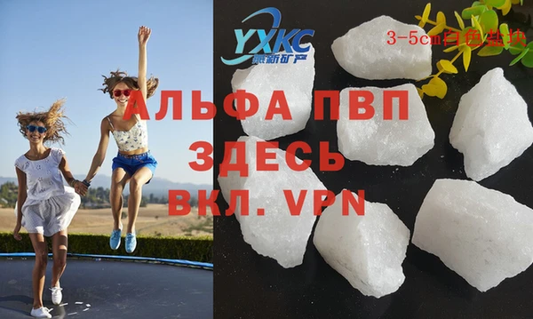 PSILOCYBIN Карабаново
