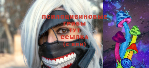 дмт Новозыбков