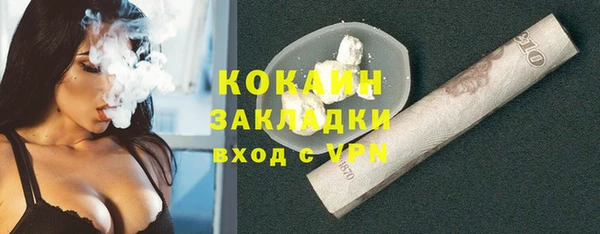 дмт Новозыбков