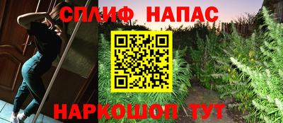 прущие крисы Апшеронск