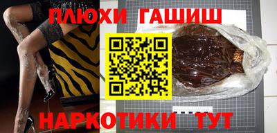 гашик Аргун