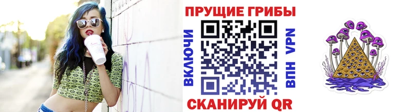 Псилоцибиновые грибы ЛСД  наркотики  Северобайкальск 