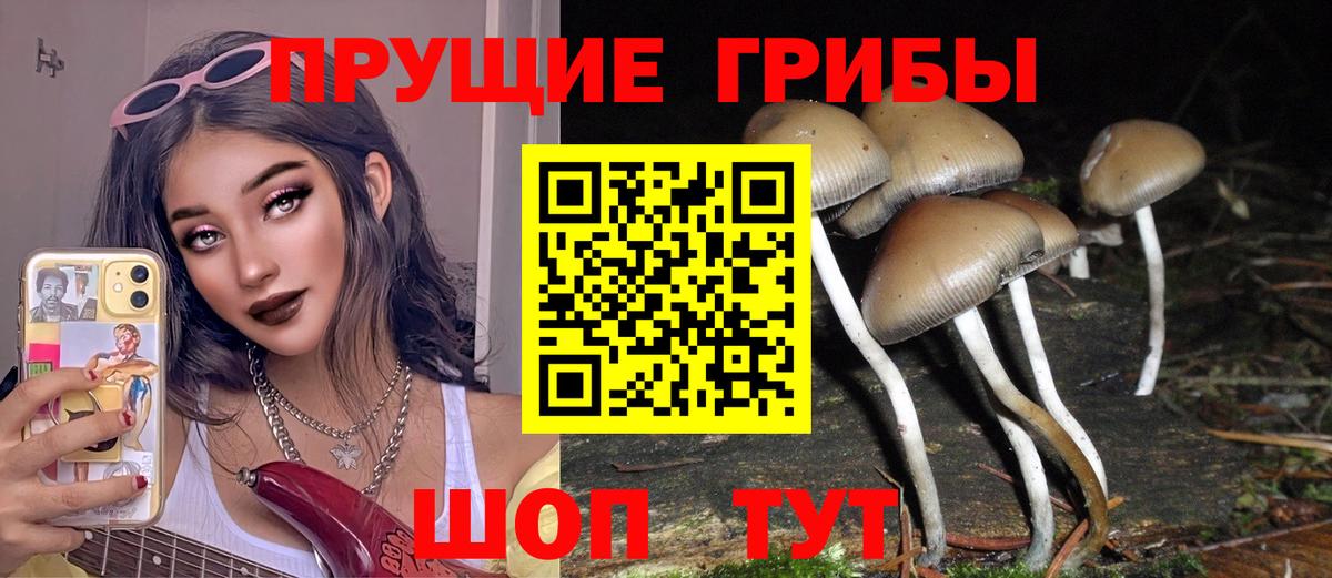 Псилоцибиновые грибы GOLDEN TEACHER  Вход с VPN  Северобайкальск  Галлюциногенные грибы ЛСД 